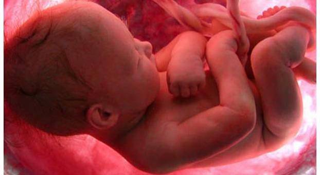 Aborto all’ottavo mese: ma il bimbo non vuole morire!